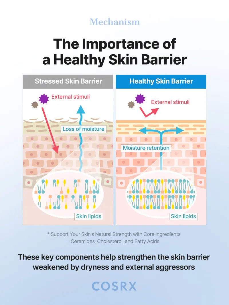 The Ceramide Skin Barrier Moisturizing Mist - Image 11